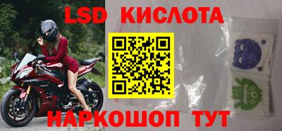 стаф Донской