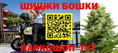 стаф Донской