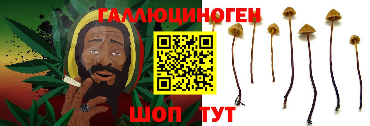 Псилоцибиновые грибы MAGIC MUSHROOMS Можайск